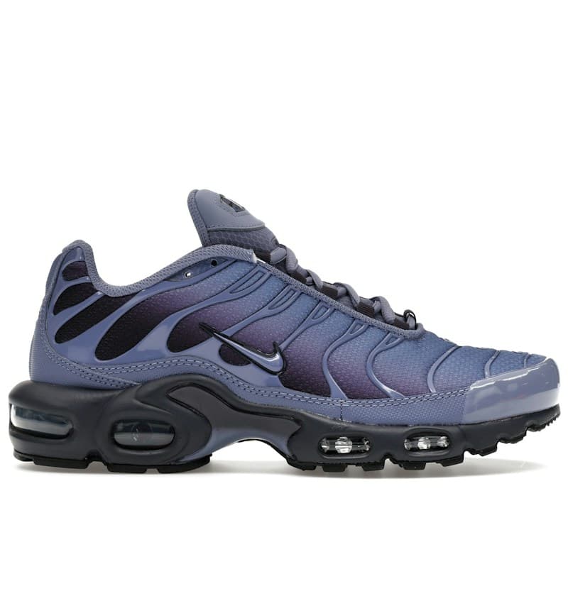 Nike Air Max Plus Tn "World Indigo"