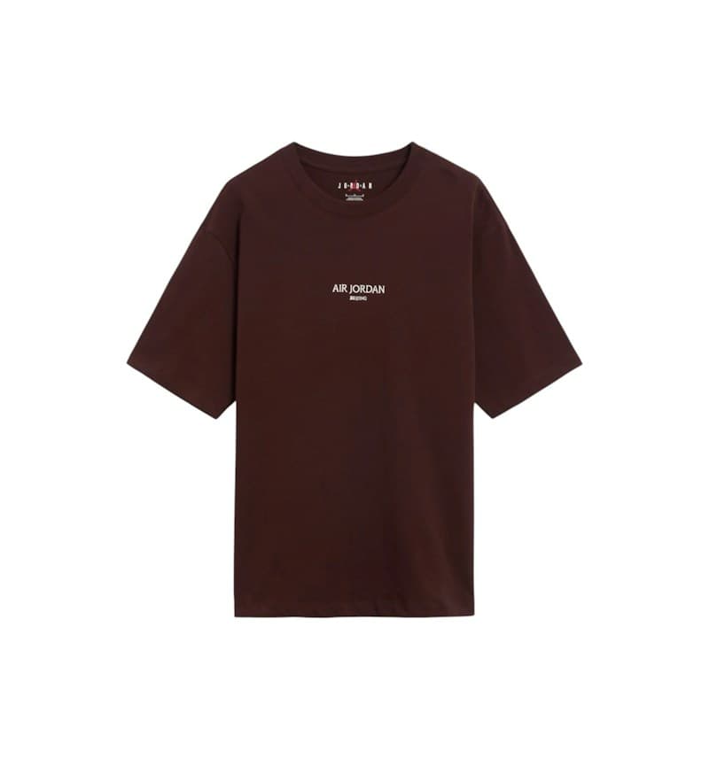 Air Jordan Wordmark Beijing Fleece Tee "Earth"