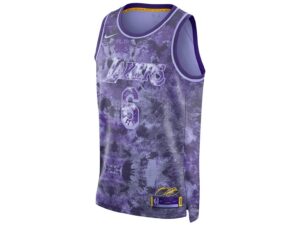 Nike NBA Los Angeles Lakers LeBron James 6 Creators In The Paint Select Series Jersey