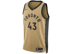 Nike NBA Toronto Raptors Pascal Siakam 43 Swingman Jersey