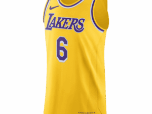 Nike NBA Los Angeles Lakers Lebron James 6 Authentic Jersey