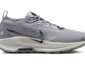Nike Pegasus Trail 5 Goretex