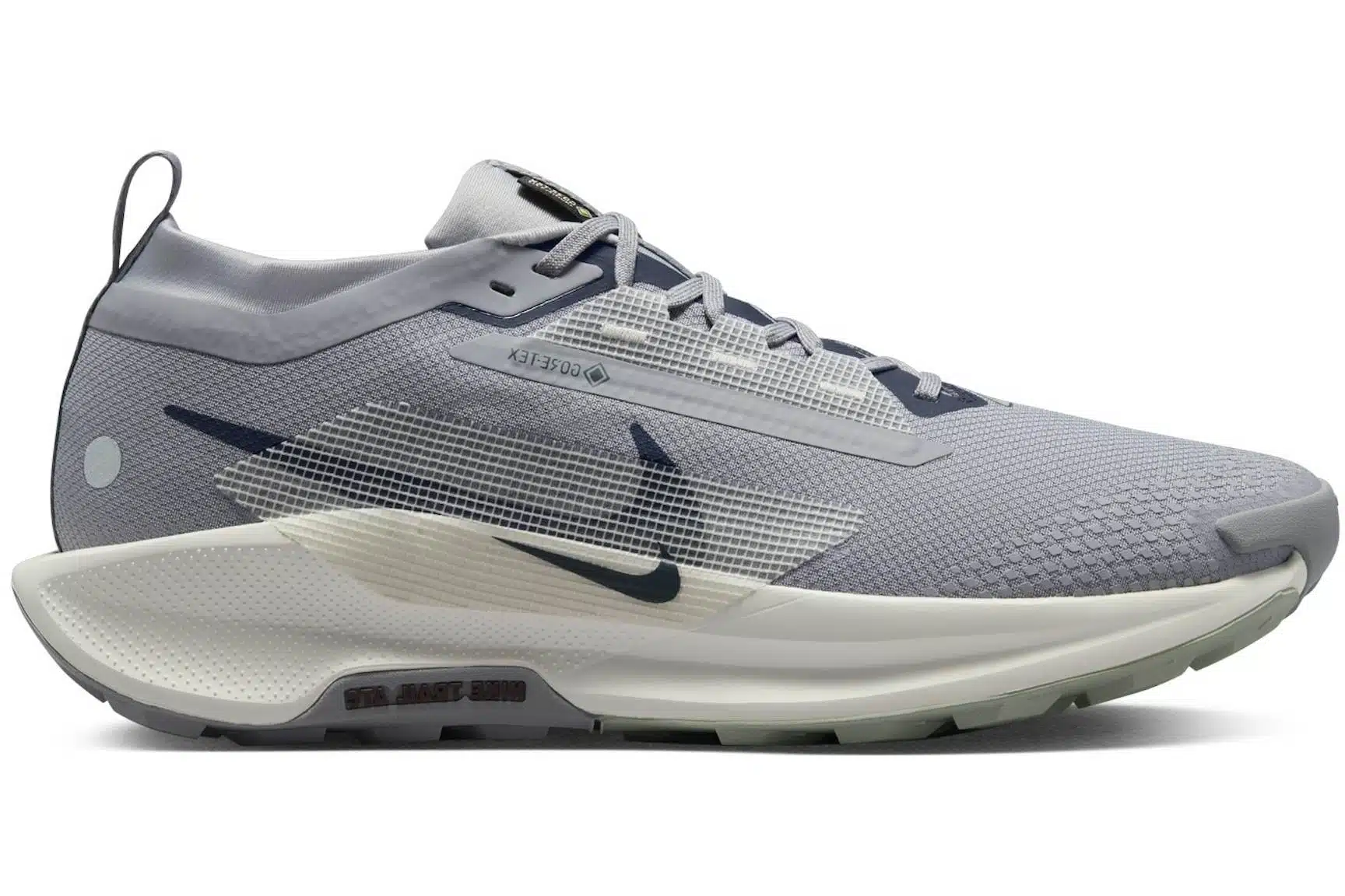 Nike Pegasus Trail 5 Goretex