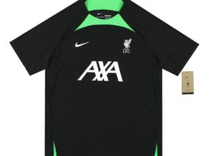 Nike Liverpool FC Camiseta de Entrenamiento de Tejido Dri-Fit ADV
