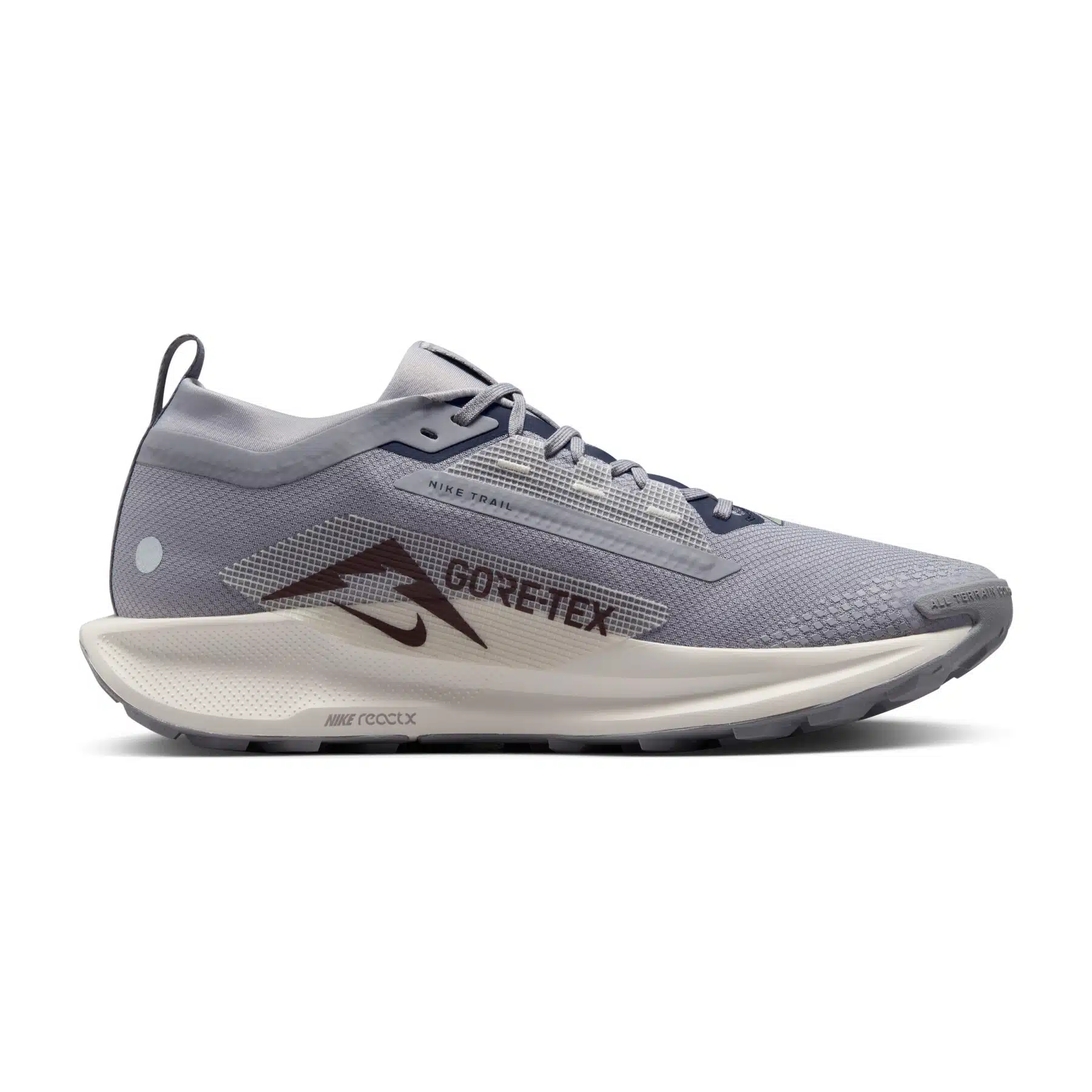 Nike Pegasus Trail 5 Goretex - Imagen 2